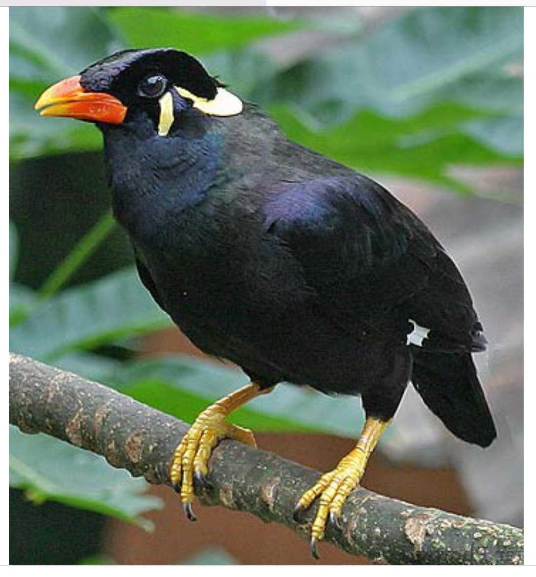 0FCCD745-BE40-45EE-B51E-41210176F452